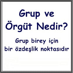 What is Group and Organization?